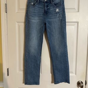 Vervet Lovervet jeans. Straight legs. 29/9 size worn once